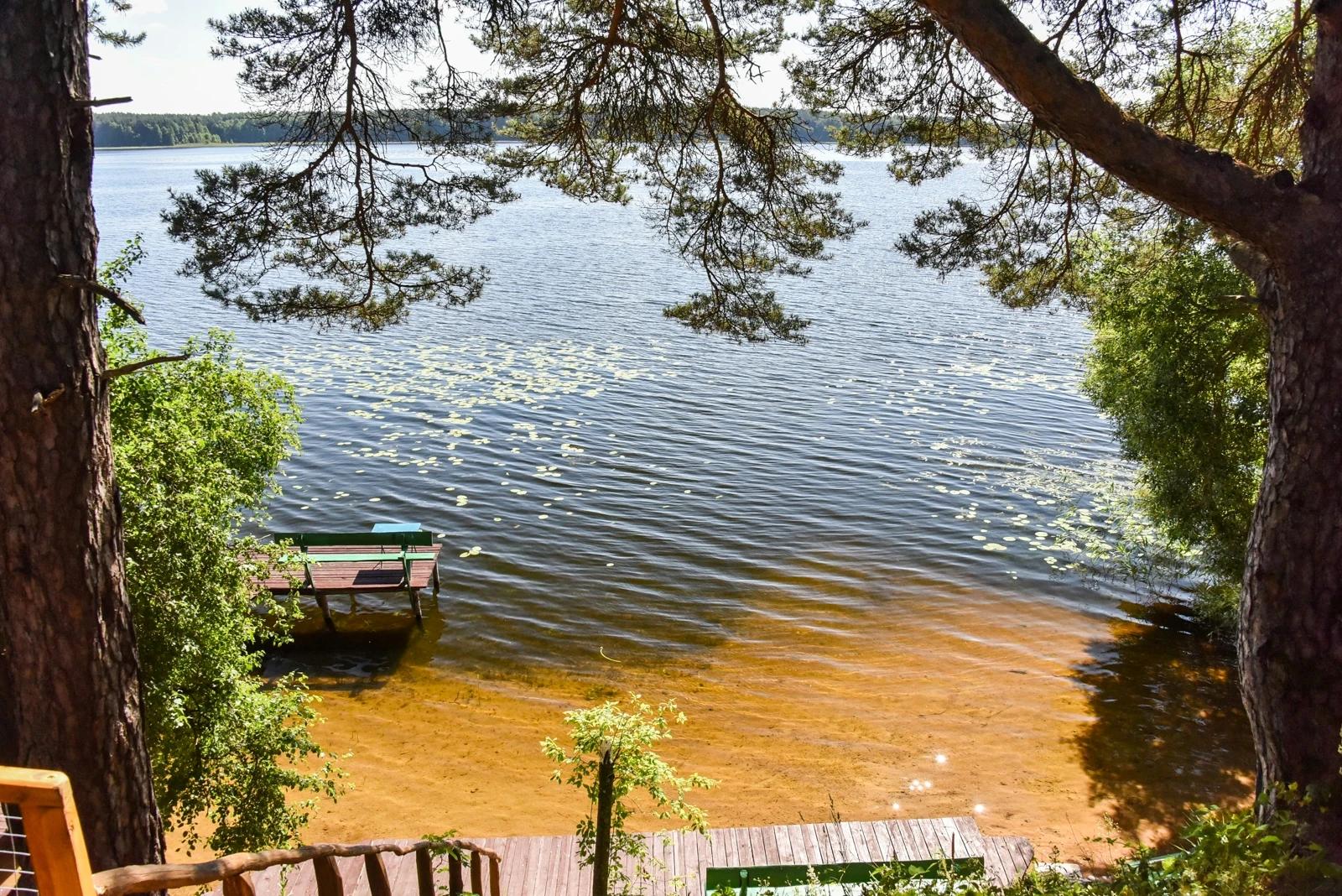 7D kotedžas – Pušų įrėmintas ežero vaizdas su smėlėta pakrante ir nedideliu mediniu lieptu