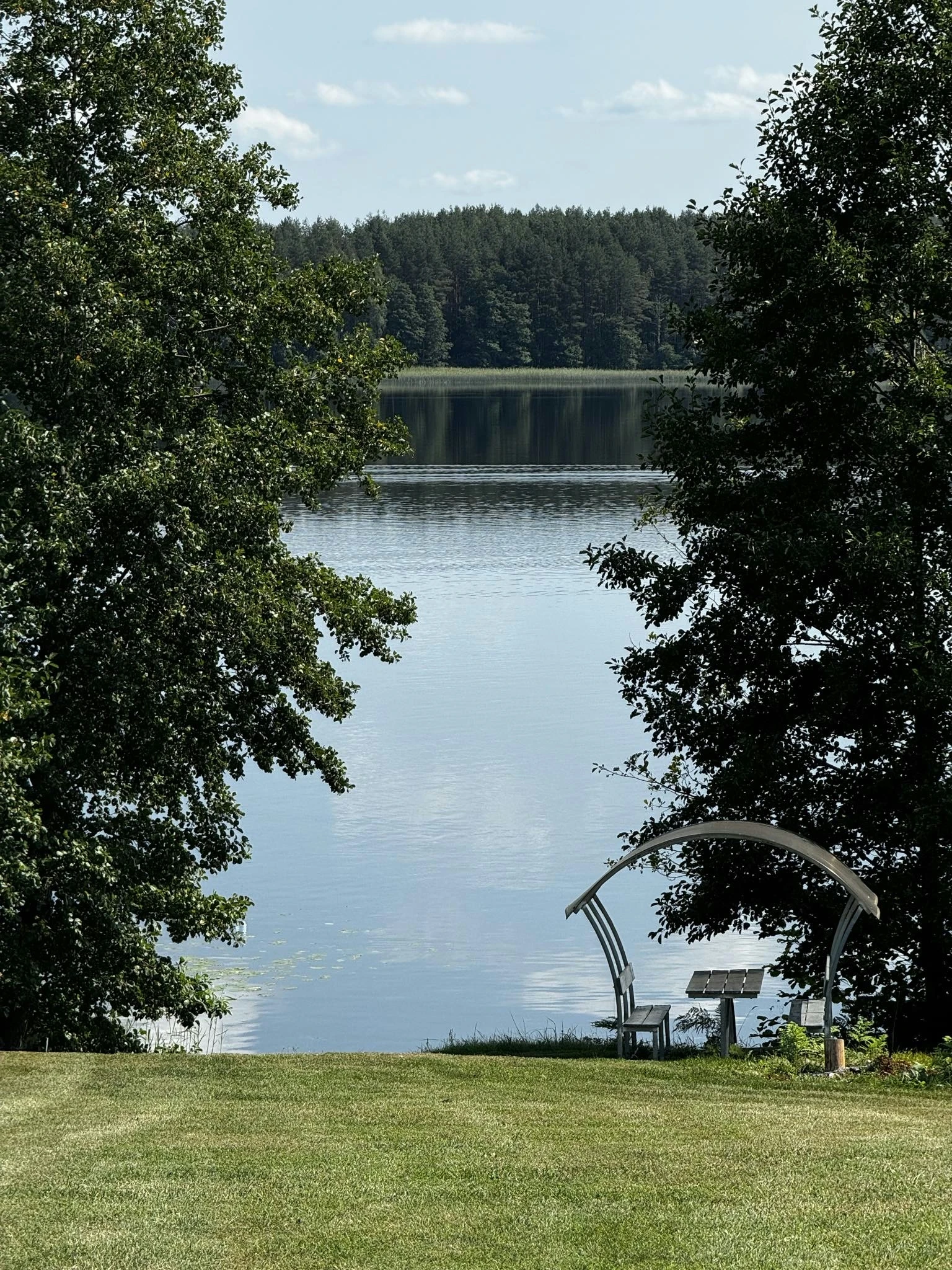 10 namelis – Žalias šlaitas leidžiasi tarp medžių link ežero ir prie vandens esančios poilsio vietos